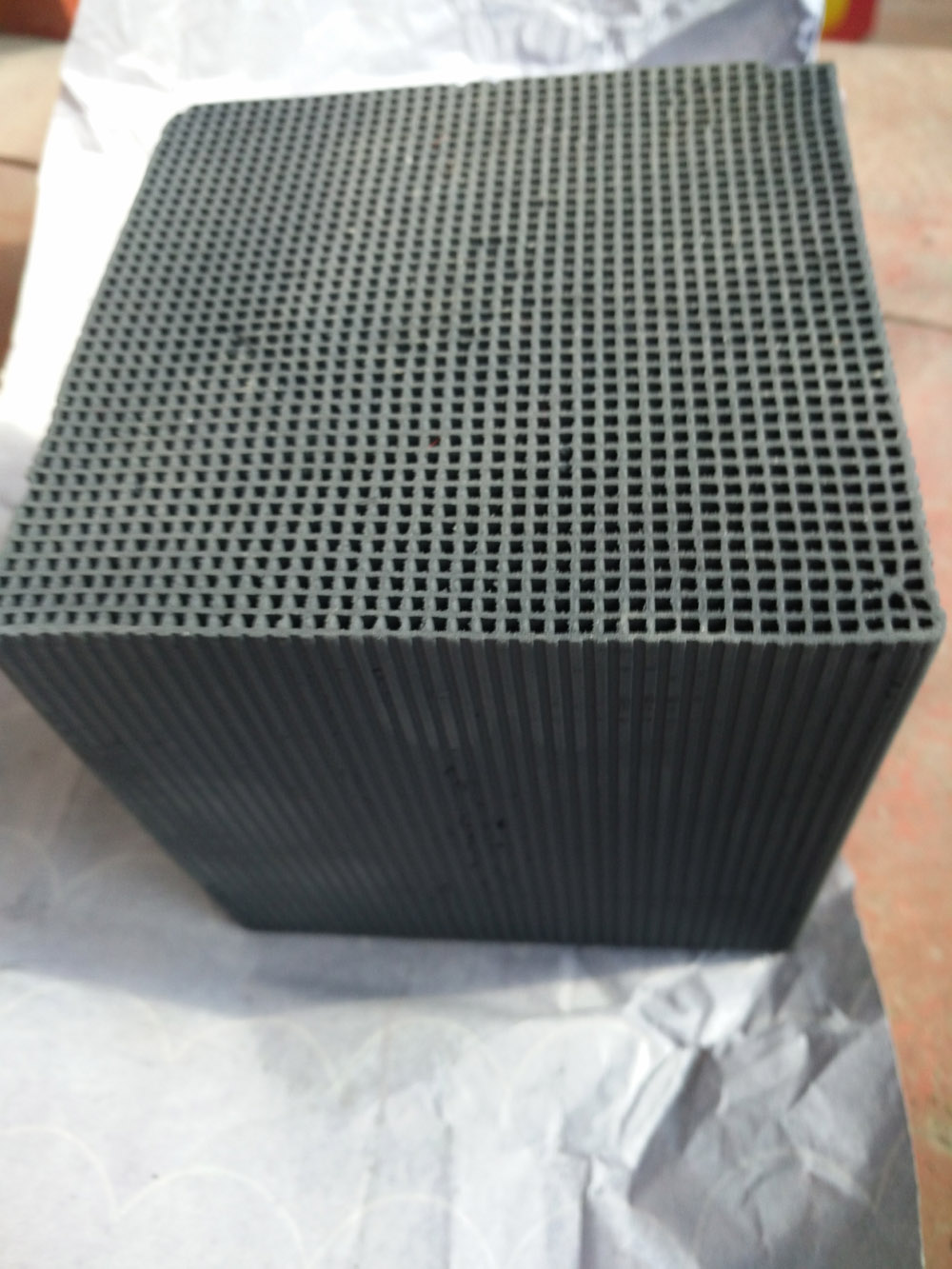 ��C����̿